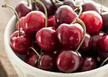 Manfaat Konsumsi Buah Ceri untuk Kesehatan Tubuh