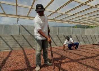 Fakta Harga Coklat yang Mahal di Tahun Ini