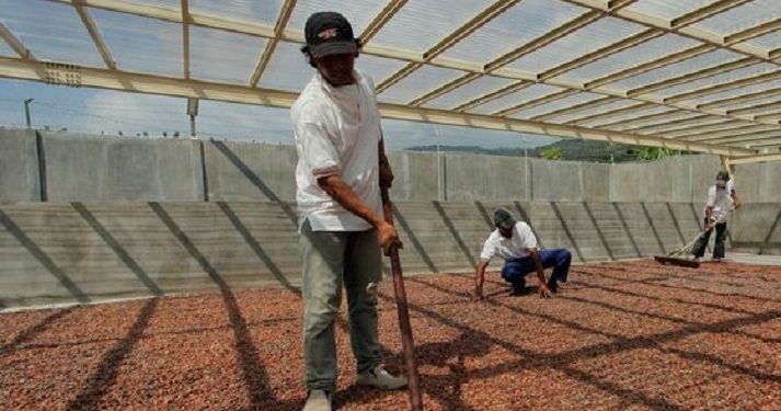 Fakta Harga Coklat yang Mahal di Tahun Ini