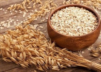 Beberapa Makanan Sehat untuk Menurunkan Kadar Kolesterol