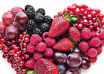 Beberapa Makanan Kaya Antosianin yang Bisa Atasi Dampak Mikroplastik