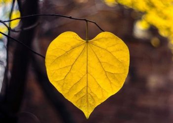 Menerima Apa Adanya Buat Hati Terasa Bebas dan Bersinar