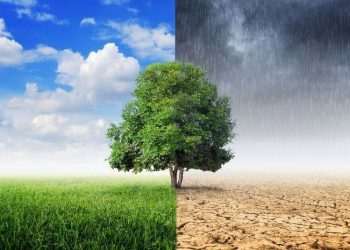 BMKG Peringatkan Musim Pancaroba Berlangsung Hingga Bulan April 2025