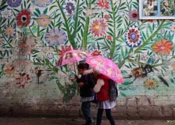 Pemukim Israel Menculik Dua Anak Palestina dan Mengikatnya di Pohon