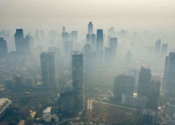 Polusi Udara Bisa Jadi Pemicu Serangan Stroke, Simak Alasannya Berikut