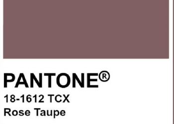 Beberapa Warna yang Cocok dengan Warna Rose Taupe