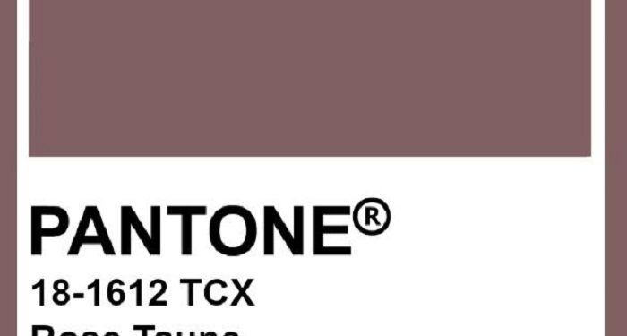 Beberapa Warna yang Cocok dengan Warna Rose Taupe