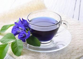 Simak Beberapa Teh Terbaik untuk Membersihkan Ginjal