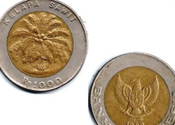 Viral, Koin Uang 1000 Kelapa Sawit bisa Mencapai Rp120 Juta