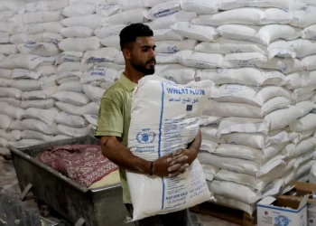 Israel Membunuh Enam Penjaga Palestina yang Sedang Melindungi Truk Bantuan Datang