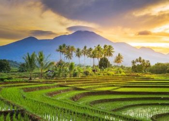 Cara Tersenyum Seperti Nabi Muhammad