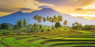 Cara Tersenyum Seperti Nabi Muhammad