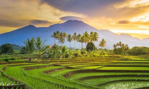 Cara Tersenyum Seperti Nabi Muhammad