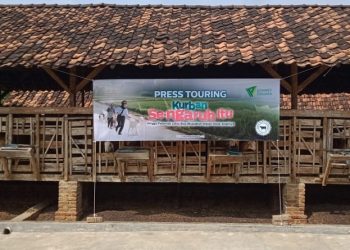 Dompet Dhuafa Farm, Sentra Ternak Lampung Pringsewu Targetkan 15 Ribu Distribusi Daging Kurban