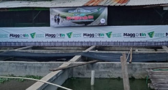 Dompet Dhuafa Hadirkan Solusi Sampah Organik Jadikan Cuan Melalui Maggotin