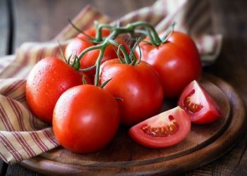 Tujuh Makanan Sehari-Hari yang Jadi Penyebab Asam Lambung Naik