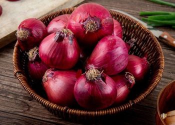 Beberapa Manfaat dan Cara Menggunakan Bawang Merah untuk Kesehatan Rambut