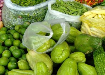 Indonesia Masuk dalam Negara Produsen Sayuran Terbesar di Dunia