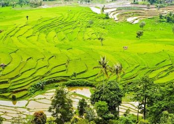 Kalegowa di Sulawesi Selatan jadi Salah Satu Tren Perjalanan Santai