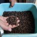 Percepat Panen Ternak, Maggot Miliki Kandungan 80 Persen Protein