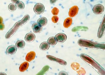 Kenali Skincare Berbasis Microbiome untuk Anak