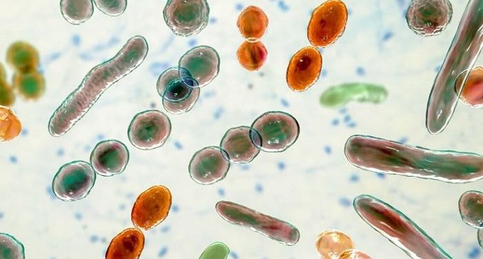 Kenali Skincare Berbasis Microbiome untuk Anak