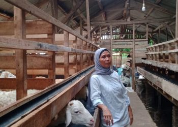 Kisah Yuliani, Mitra Ternak Dompet Dhuafa yang Berhasil Meluluskan Kedua Anaknya di IPB