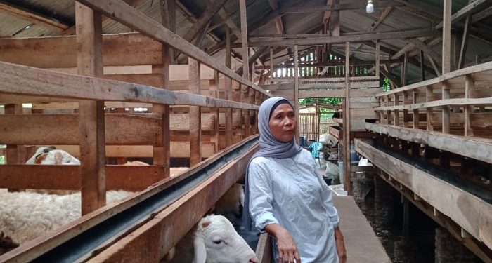 Kisah Yuliani, Mitra Ternak Dompet Dhuafa yang Berhasil Meluluskan Kedua Anaknya di IPB