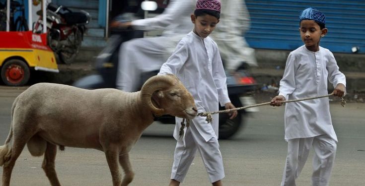 Hukum Niat Qurban Sekaligus Aqiqah