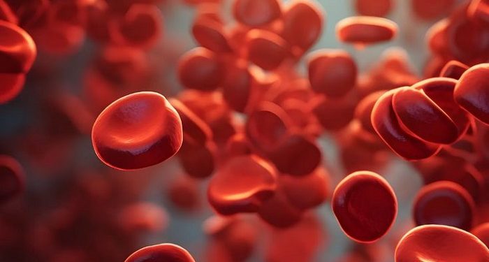 Anemia Bisa Ganggu Kualitas Hidup Hingga Produktivitas