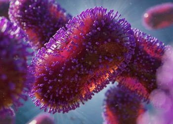 Simak Gejala dan Cara Mencegah Penyakit Mpox