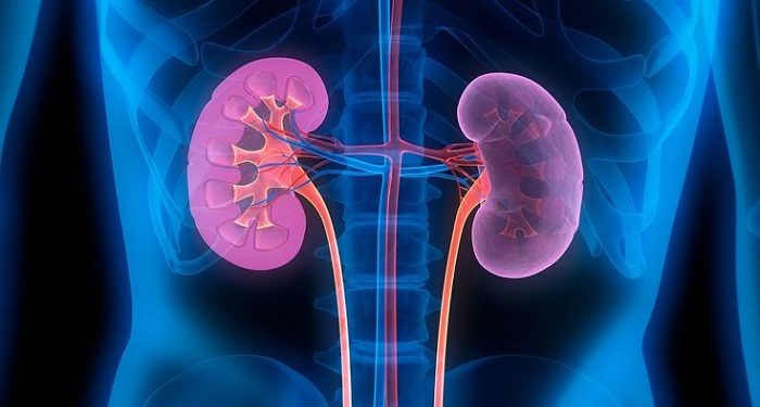 Ciri-Ciri Urine yang Bisa Menandakan Penyakit Ginjal