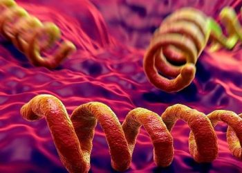 Kemenkes Sebut Lebih dari 20 Ribu Orang Terkena Sifilis pada 2024