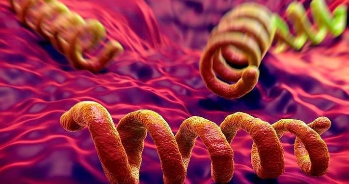 Kemenkes Sebut Lebih dari 20 Ribu Orang Terkena Sifilis pada 2024