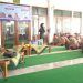 PJMI dan UIA Gelar Pelatihan Jurnalistik di MA Nurussaadah, Bekali Siswa Hadapi Era Digital