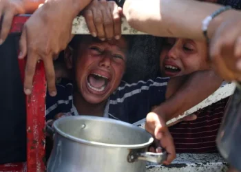 Krisis Kemanusiaan di Gaza Semakin Parah: Seruan untuk Tindakan Nyata dari Indonesia