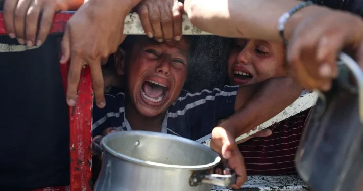 Krisis Kemanusiaan di Gaza Semakin Parah: Seruan untuk Tindakan Nyata dari Indonesia