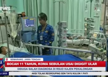 Rafa Digigit Ular Weling Saat Tidur, Bocah Pekalongan Meninggal Dunia Setelah Sebulan Berjuang