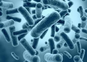 Bakteri TBC Lebih Kuat Dibanding Bakteri pada Umumnya