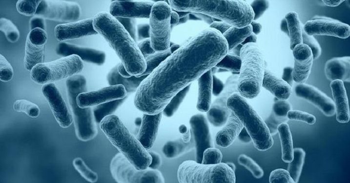 Bakteri TBC Lebih Kuat Dibanding Bakteri pada Umumnya