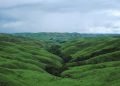 Kenali Bukit Premium Jawa Timur