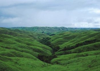 Kenali Bukit Premium Jawa Timur
