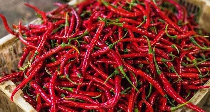 Manfaat Konsumsi Cabai Secara Rutin