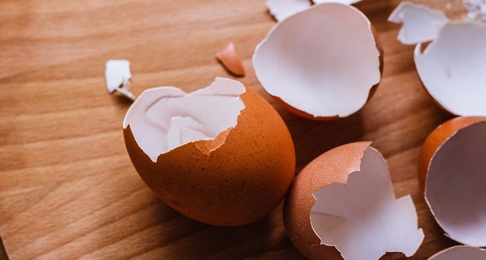 Viral, Cangkang Telur Bisa Hasilkan Jutaan Rupiah Simak Penjelasannya Berikut