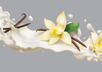 Manfaat Penggunaan Ekstrak Vanila pada Kulit