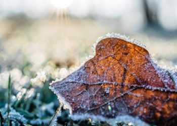 Sebagian Pulau Jawa Alami Fenomena Bediding, Simak Ulasannya Berikut