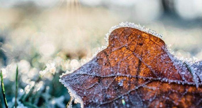 Sebagian Pulau Jawa Alami Fenomena Bediding, Simak Ulasannya Berikut