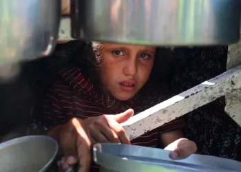 Pakar Sebut Israel Lakukan "Kelaparan Genosida" terhadap Warga Gaza