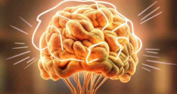 Urutan Negara dengan Rata-Rata IQ Tertinggi di Dunia