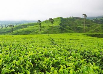 Itinerary ke Pegunungan untuk Budget 500 Ribu